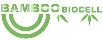 Bamboo